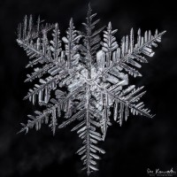 Frozen Star