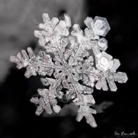 Tiny Wonder
