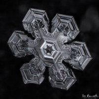 Medal of Ice