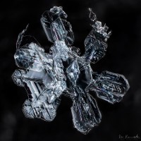 oddly growing snowflake that breaks the traditional perfect symmetry
