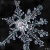 Heart of Ice