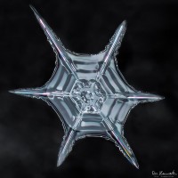 Littlest Snowflake